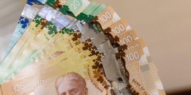 Canadian dollar goes down 