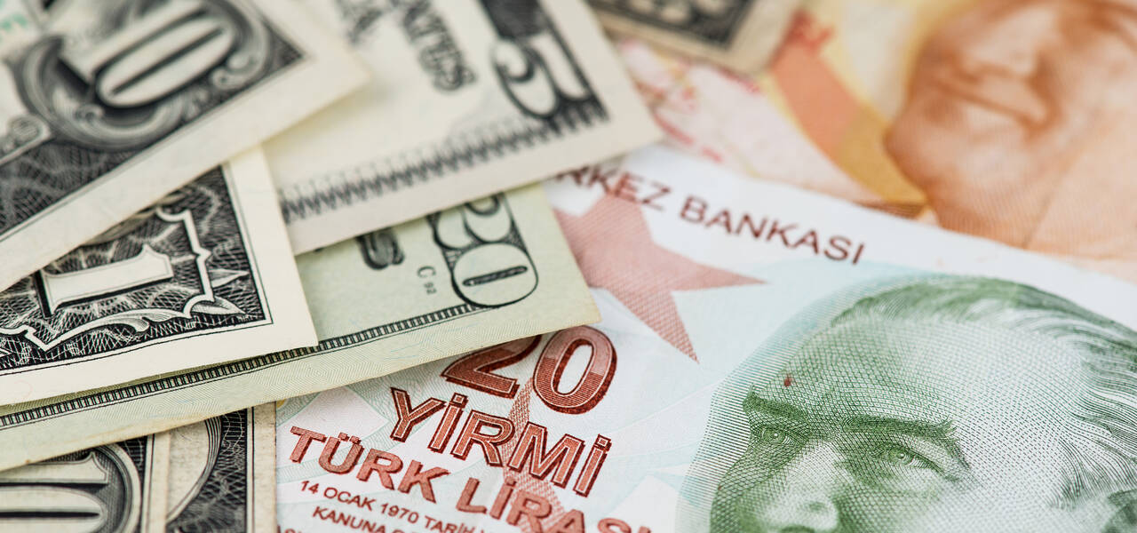 Turkish lira gains against dollar