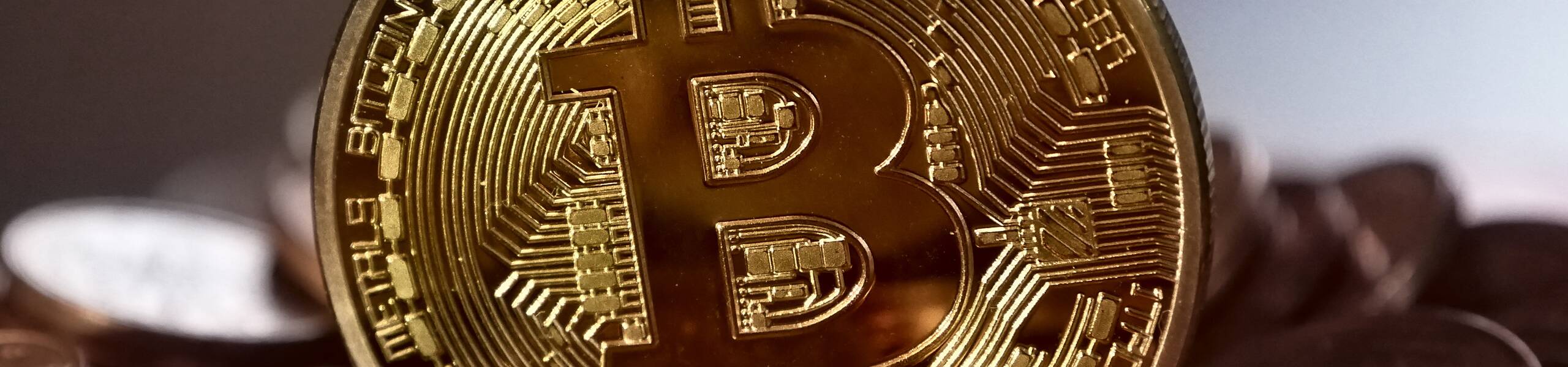Ups and downs of bitcoin. Does this crypto have a future?
