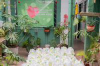 FBS organiza un evento de caridad en Colombia