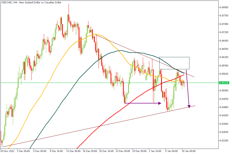 NZDCADH4-1001.png