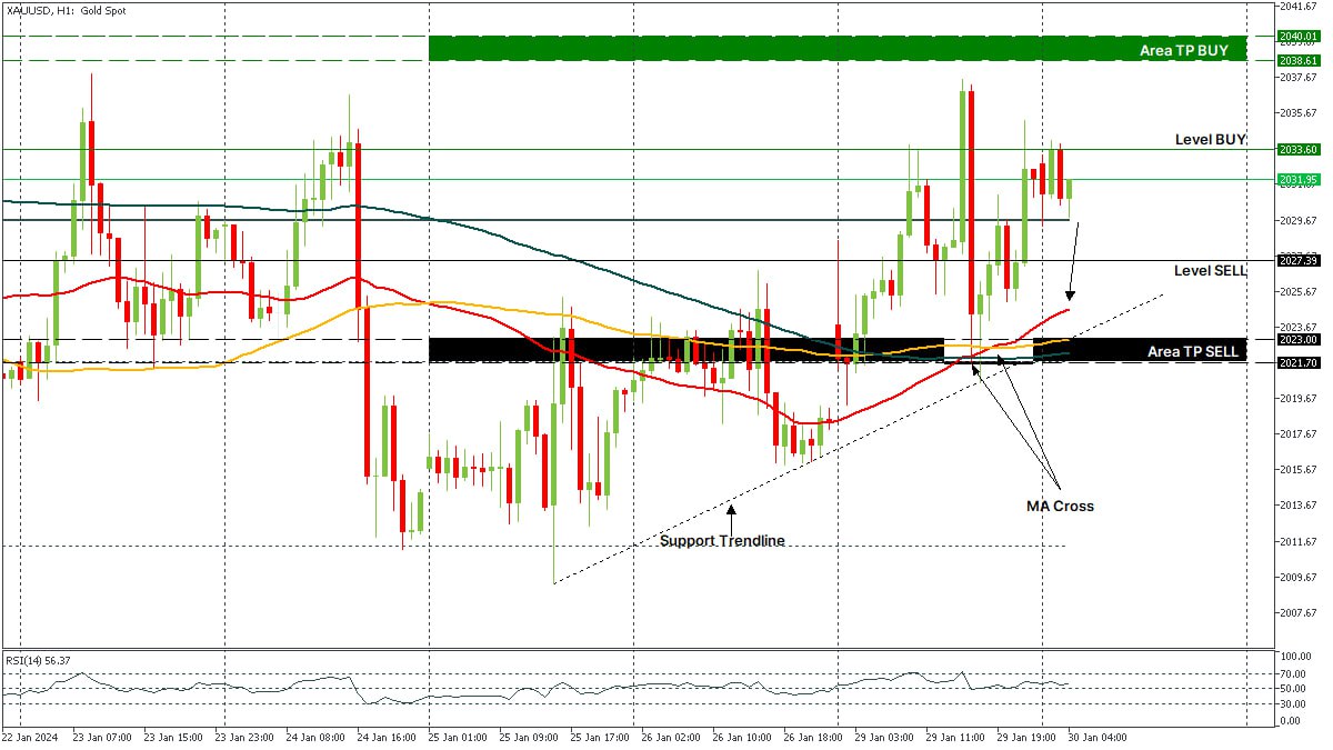 XAUUSD 30012024.jpg